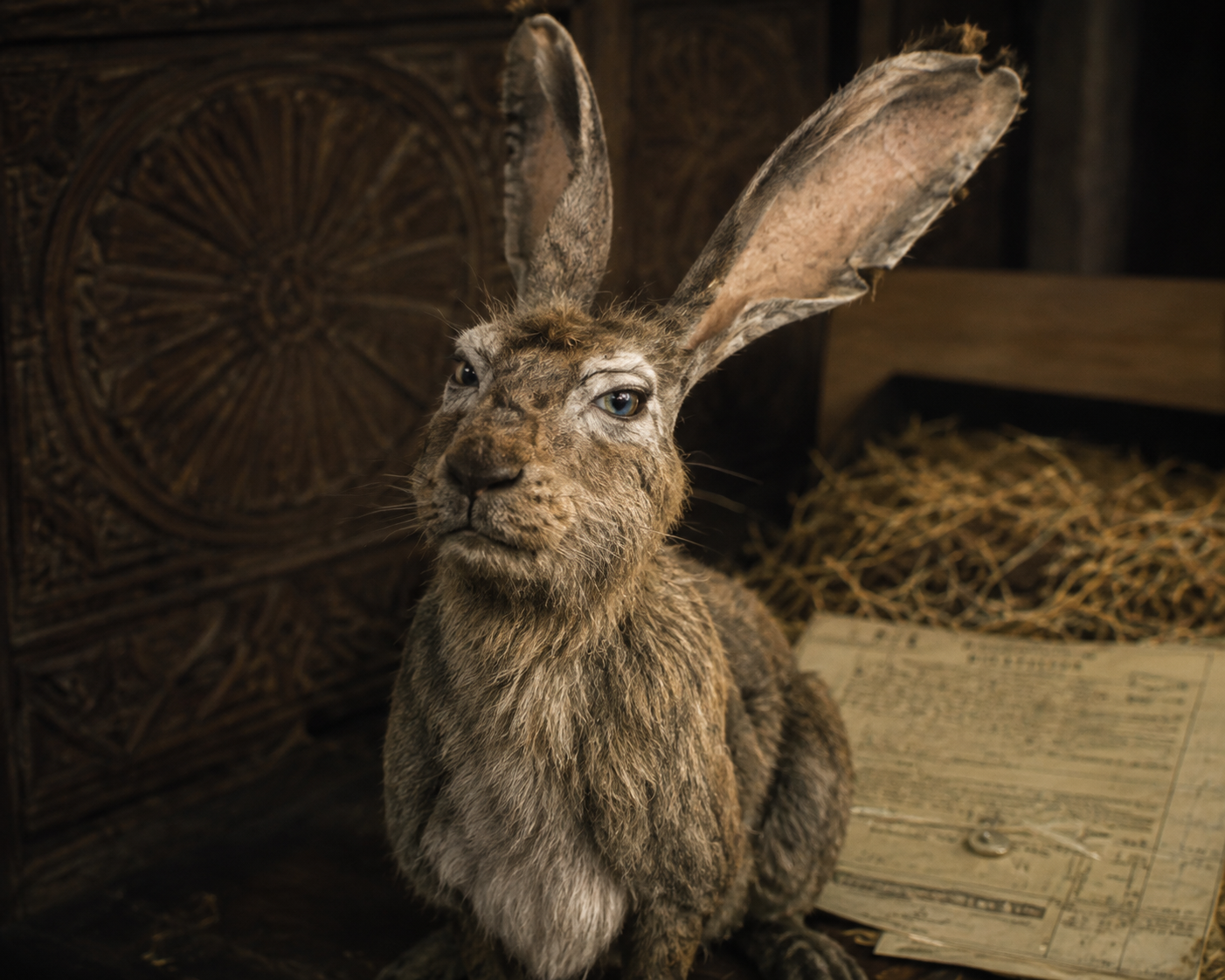 Das ist Hester, Lee Scoresby Dämon, eine Hasendame